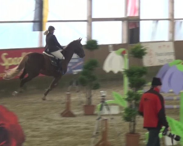 Reitturnier Pausin 2015