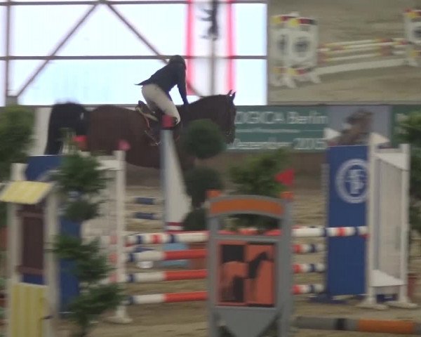 Reitturnier Pausin 2015