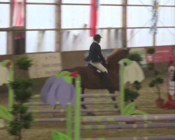 Reitturnier Pausin 2015