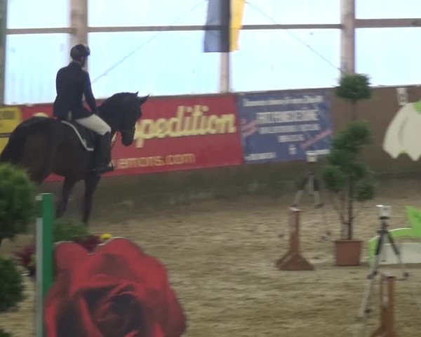 Reitturnier Pausin 2015