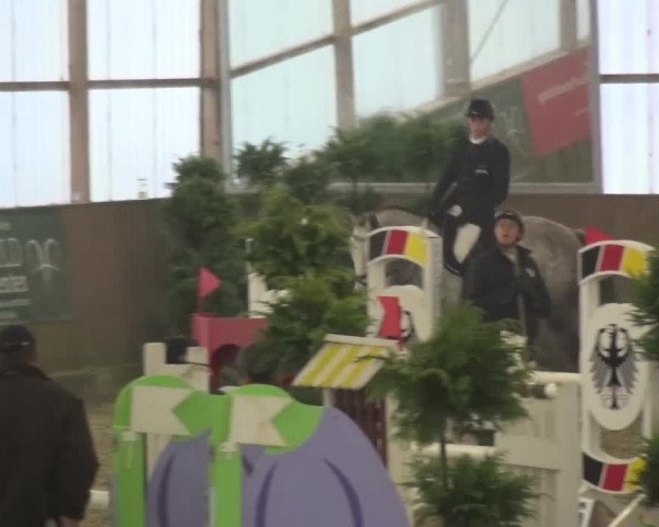 Reitturnier Pausin 2015