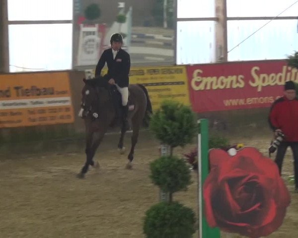 Reitturnier Pausin 2015
