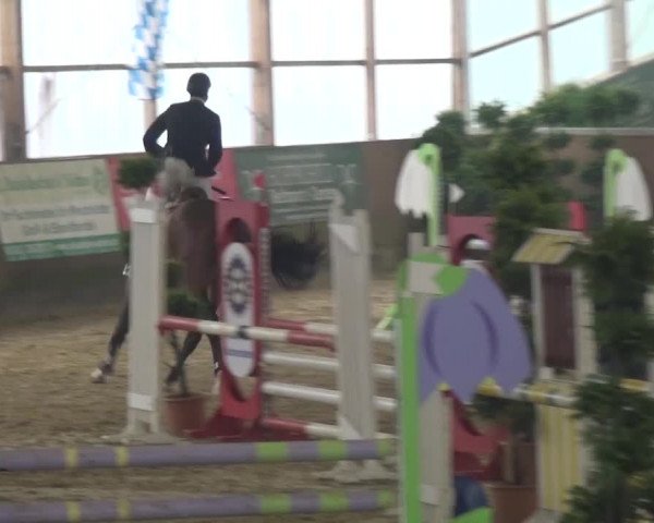 Reitturnier Pausin 2015