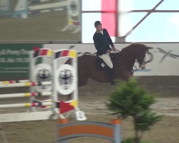 Reitturnier Pausin 2015