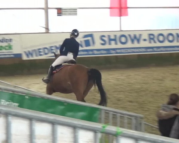 Reitturnier Pausin 2015