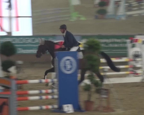 Reitturnier Pausin 2015