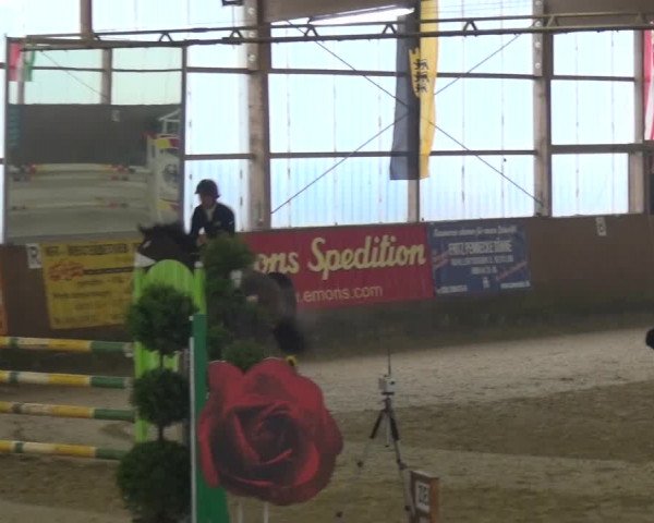 Reitturnier Pausin 2015