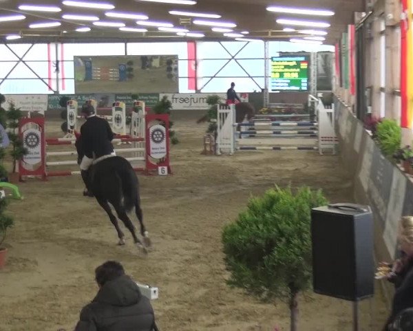 Reitturnier Pausin 2015