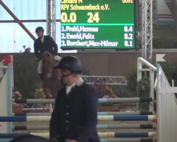 Reitturnier Pausin 2015