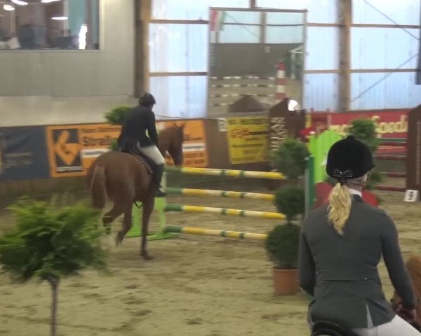 Reitturnier Pausin 2015