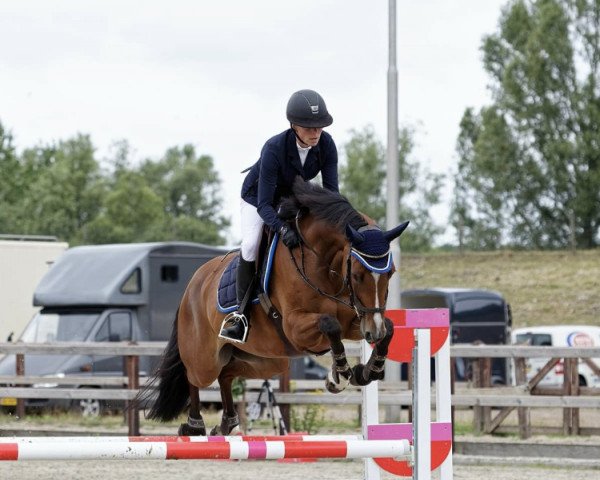 Springpferd Odeline van het Keizershof (Belgisches Warmblut, 2014, von Flying Dream)