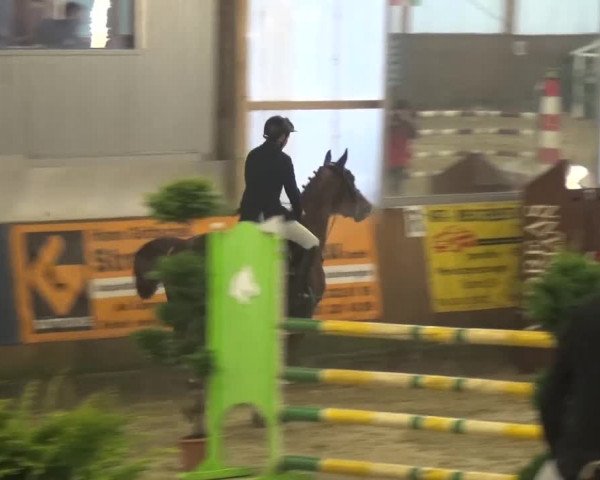 Reitturnier Pausin 2015