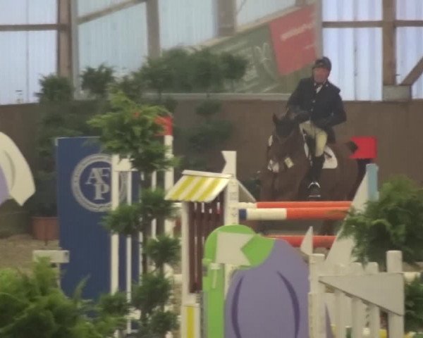 Reitturnier Pausin 2015