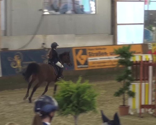 Reitturnier Pausin 2015