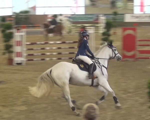 Reitturnier Pausin 2015