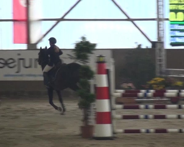 Reitturnier Pausin 2015