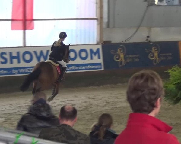 Reitturnier Pausin 2015