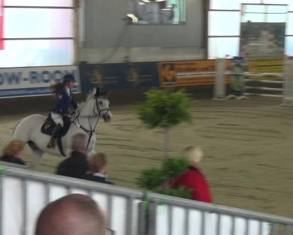 Reitturnier Pausin 2015