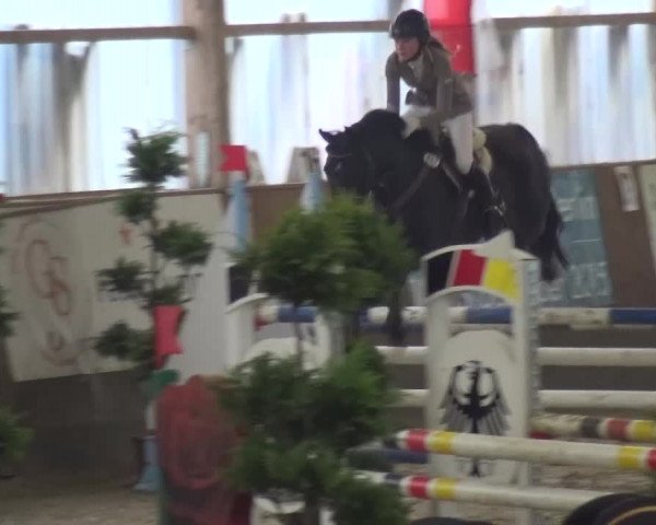 Reitturnier Pausin 2015