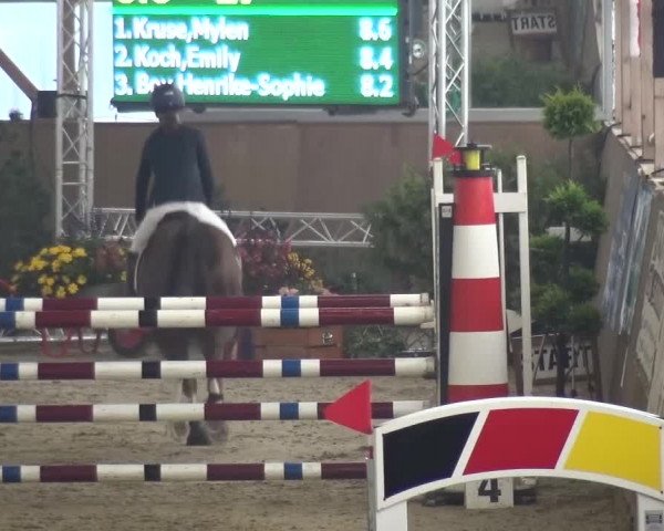 Reitturnier Pausin 2015