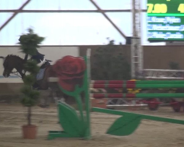 Reitturnier Pausin 2015