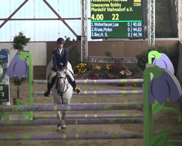 Reitturnier Pausin 2015