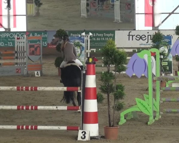 Reitturnier Pausin 2015