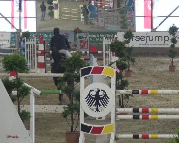 Reitturnier Pausin 2015