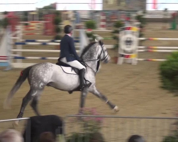 Reitturnier Pausin 2015