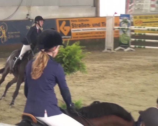 Reitturnier Pausin 2015