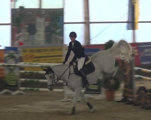 Reitturnier Pausin 2015