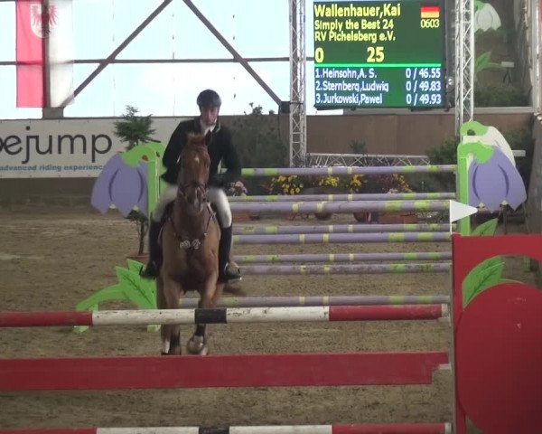 Reitturnier Pausin 2015