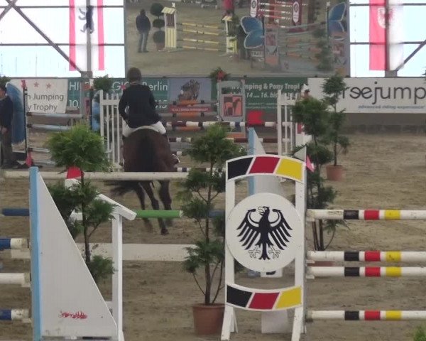 Reitturnier Pausin 2015