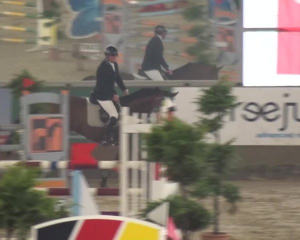 Reitturnier Pausin 2015