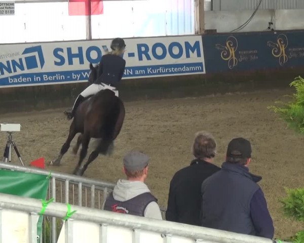 Reitturnier Pausin 2015