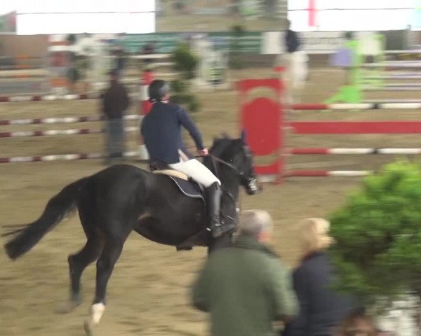 Reitturnier Pausin 2015