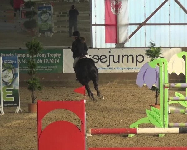 Reitturnier Pausin 2015