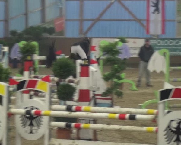Reitturnier Pausin 2015