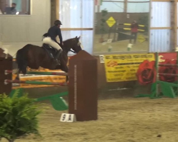 Reitturnier Pausin 2015