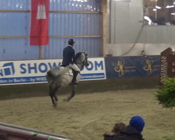 Reitturnier Pausin 2015