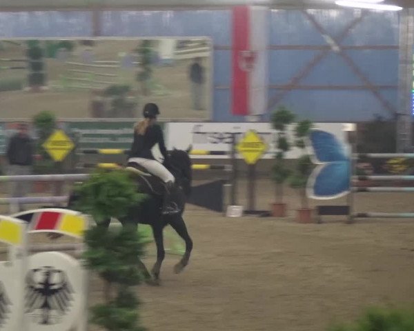Reitturnier Pausin 2015