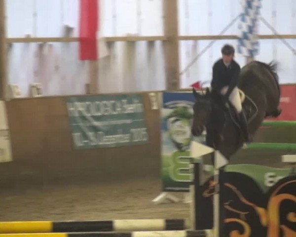 Reitturnier Pausin 2015