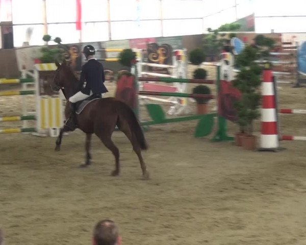 Reitturnier Pausin 2015
