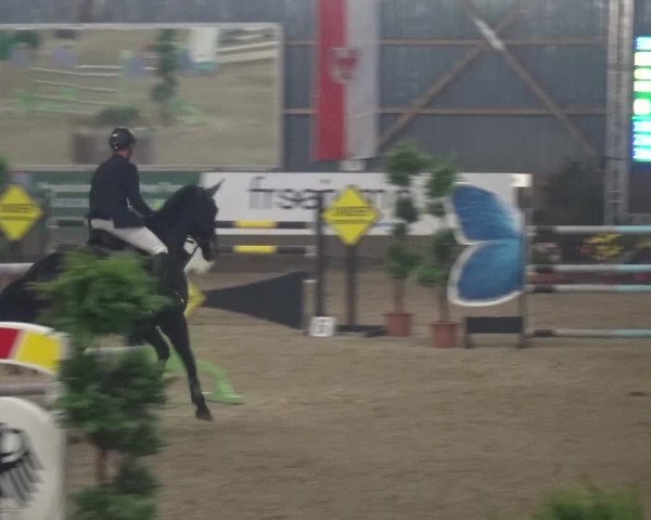 Reitturnier Pausin 2015