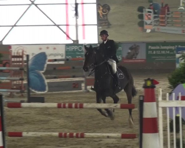 Reitturnier Pausin 2015