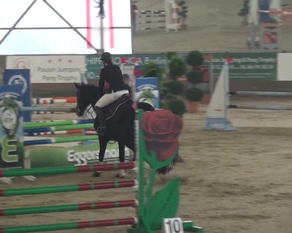 Reitturnier Pausin 2015