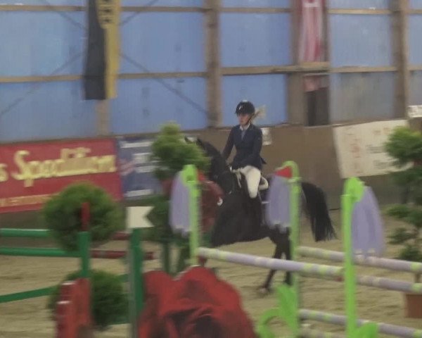 Reitturnier Pausin 2015