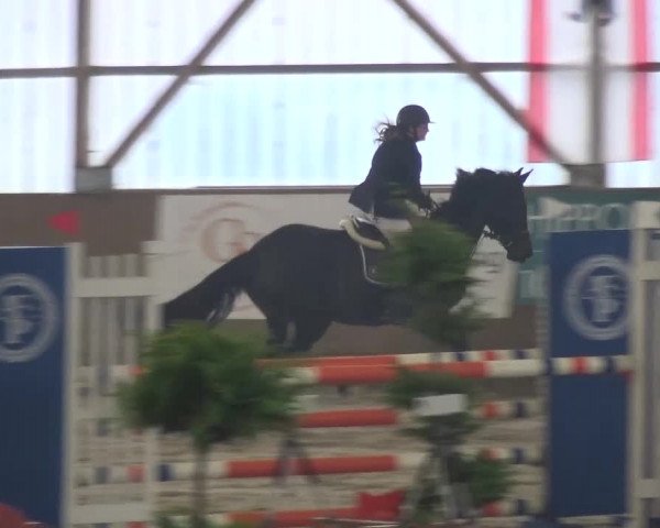 Reitturnier Pausin 2015