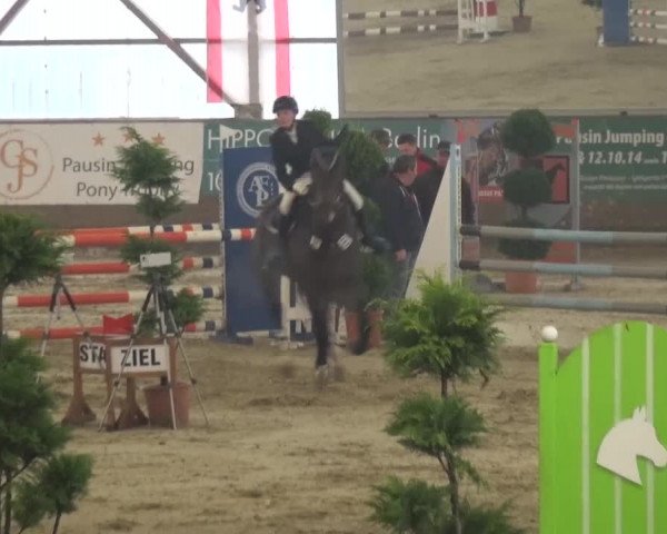 Reitturnier Pausin 2015