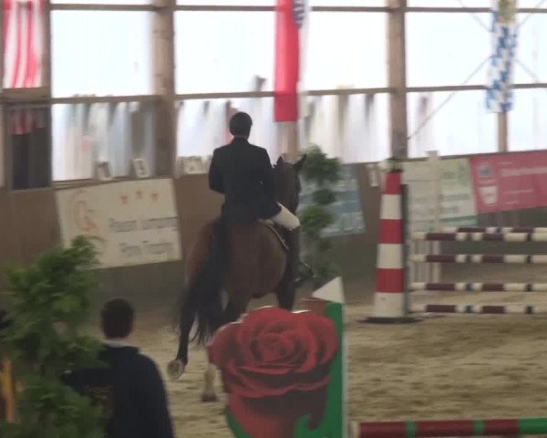Reitturnier Pausin 2015